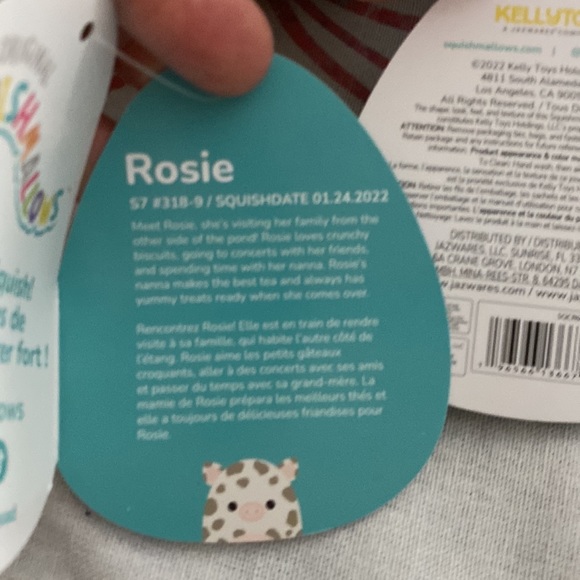 Squishmallows Ronnie and Rosie best friends - Picture 7 of 8